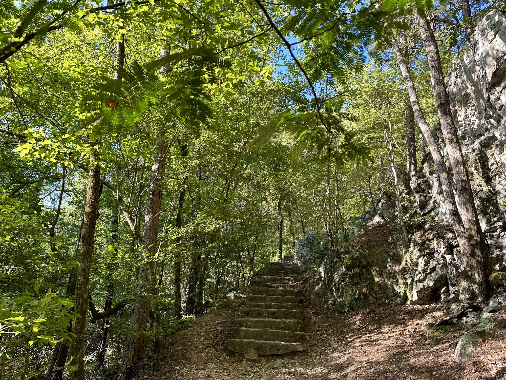 Raziskovanje čudovite narave: vodnik po sodobnih stilih kampiranja