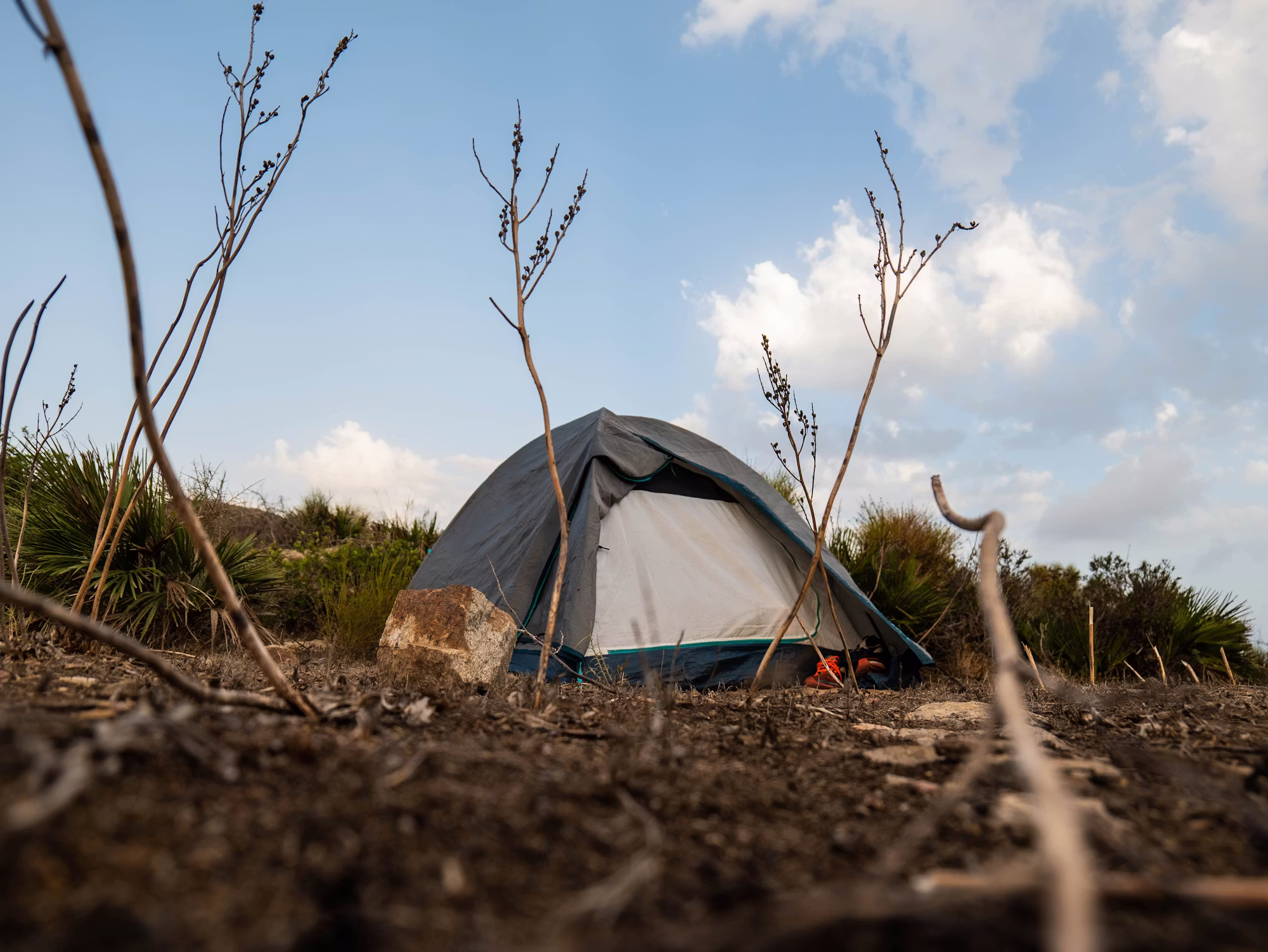 Veselje mestnega vrtnarjenja: preoblikovanje mestnih prostorov